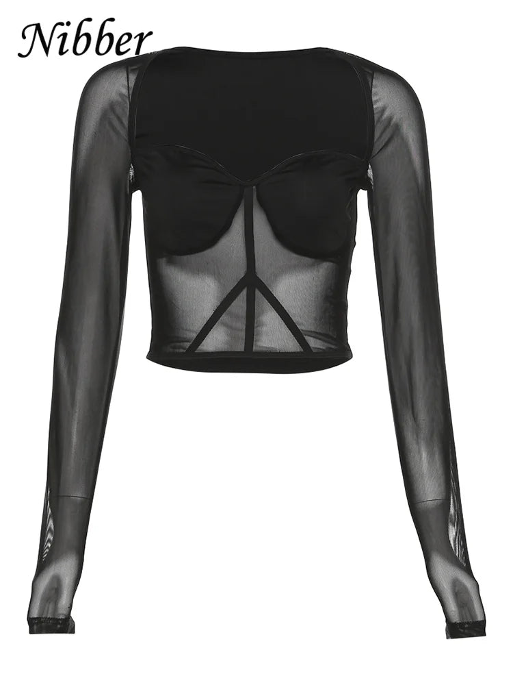 Canmol Mesh Long Sleeve T-shirt for Women - Stylish & See-through Midriff-baring Top